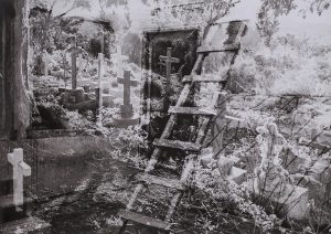 Black and white image of headstone crosses and woodent ladder.