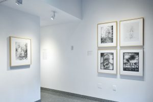 Installation view of five black and white photographs; four with face of woman, one with faded trees and figures.